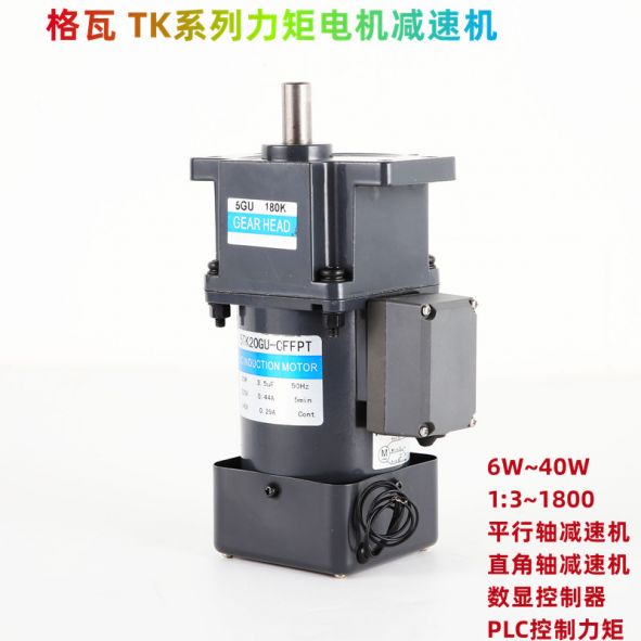 單相力矩轉(zhuǎn)矩減速電機(jī)